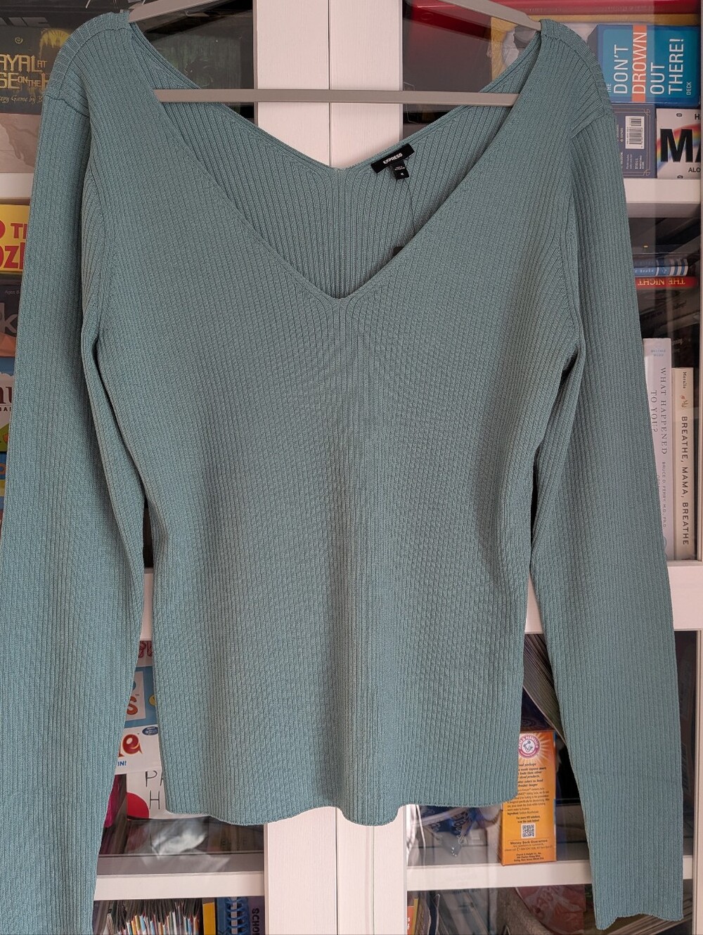 EXPRESS NWT Ribbed V-Neck Long Sleeve Sweater Top Sage Green XL